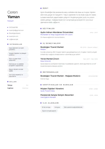 Kasiyer cv indir